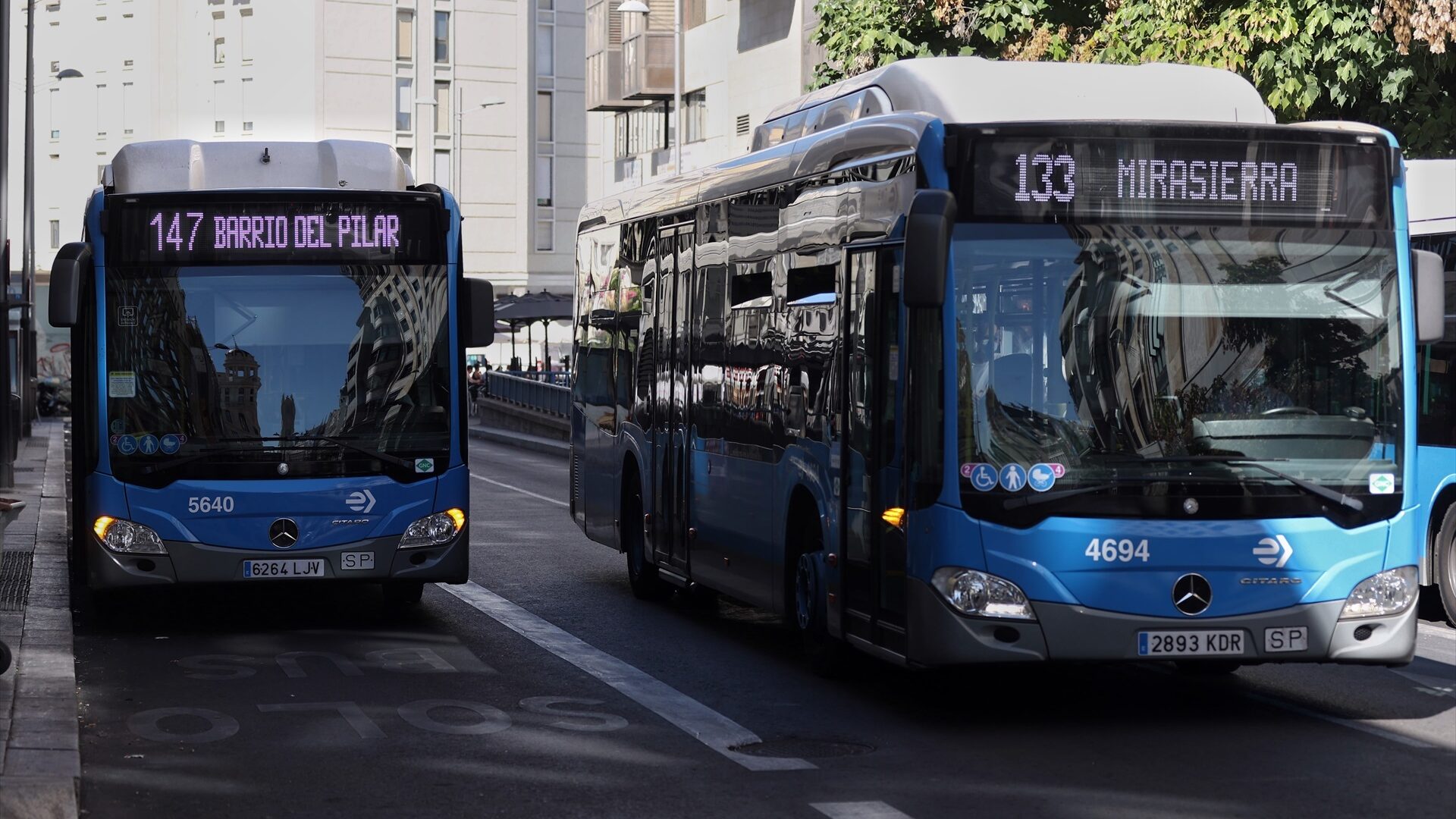 ¿Cuándo serán gratuitos los autobuses de la EMT en Madrid por el Black Friday?