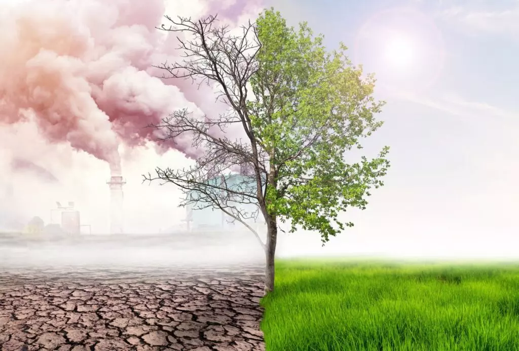 COP27: ¿Qué han hecho las grandes potencias para frenar el cambio climático?