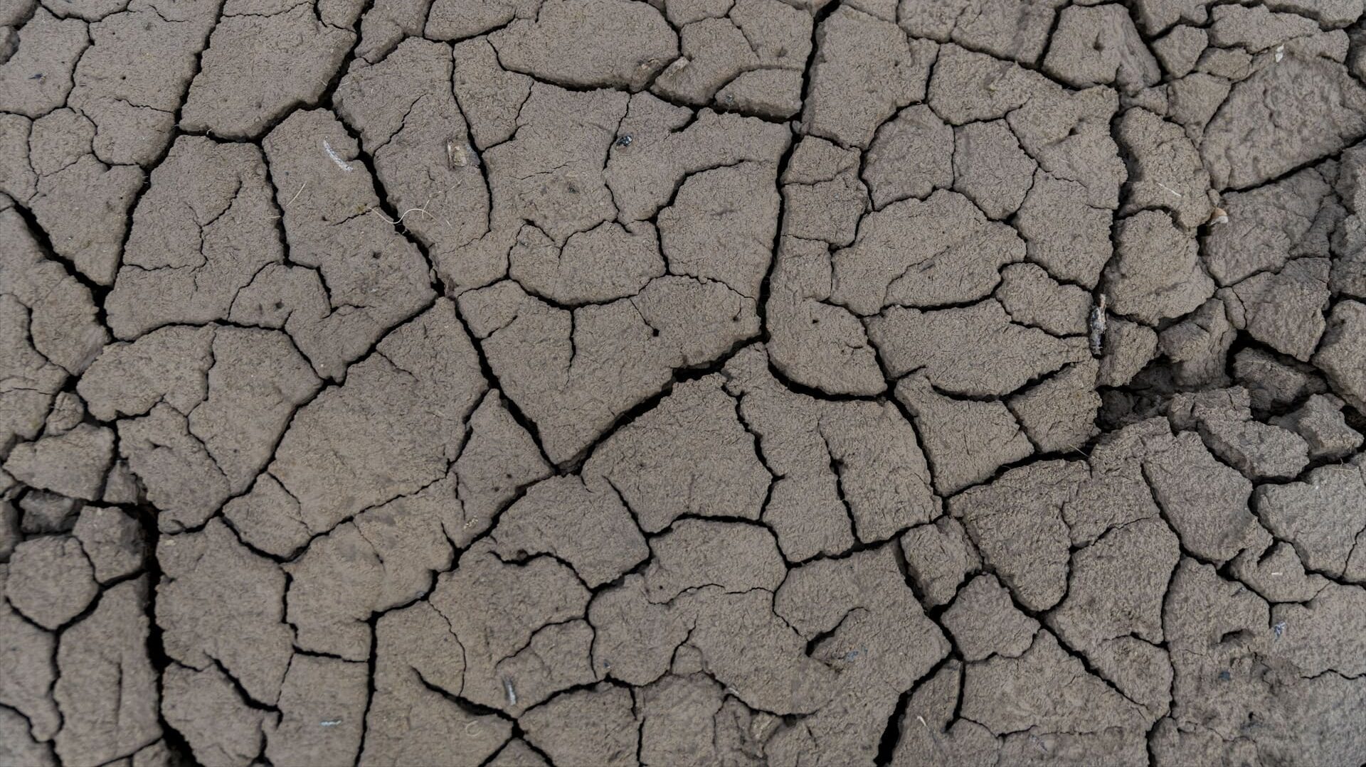 Restricciones de sequía en Barcelona: ¿a quién afecta?