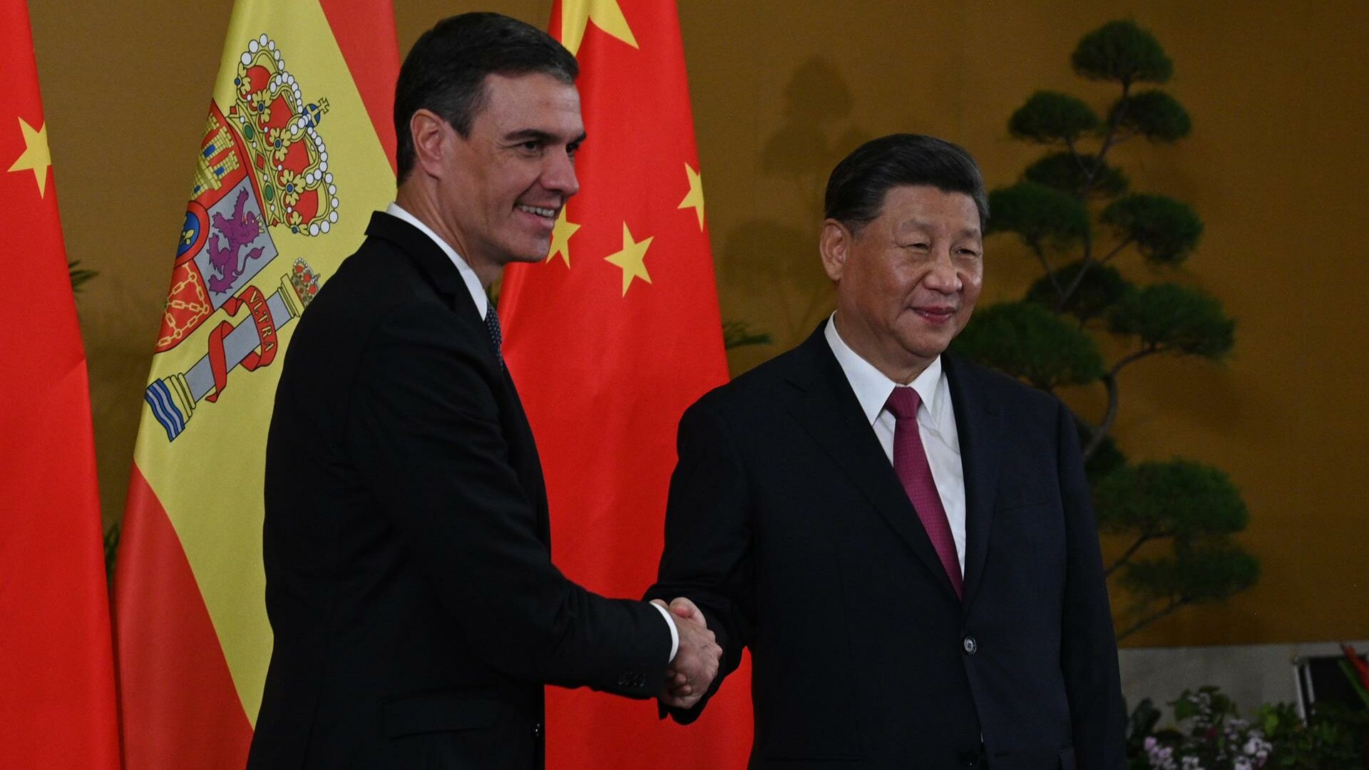 El jefe del Gobierno español, Pedro Sánchez ante el presidente chino, Xi Jinping, en Bali/ EFE
