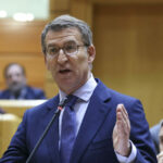 El líder del Partido Popular, Alberto Núñez Feijóo interviene durante el pleno del Senado