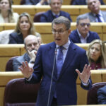 El líder del Partido Popular, Alberto Núñez Feijóo interviene durante el pleno del Senado