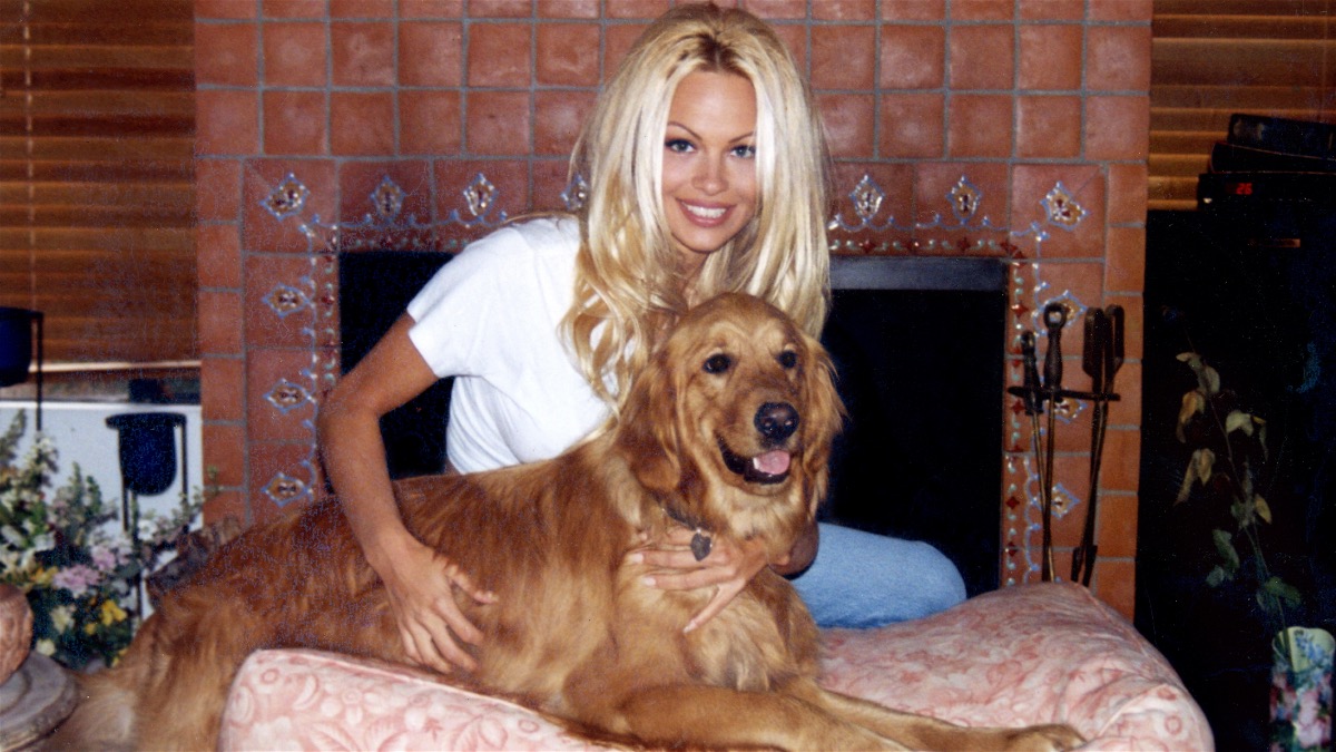 Pamela Anderson sexo, maridos y cintas de vídeo imagen