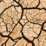 La AEMET alerta de una "incipiente" sequía en España