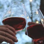 Cinco vinos para conquistar: novedades, rarezas y un clásico que se renueva