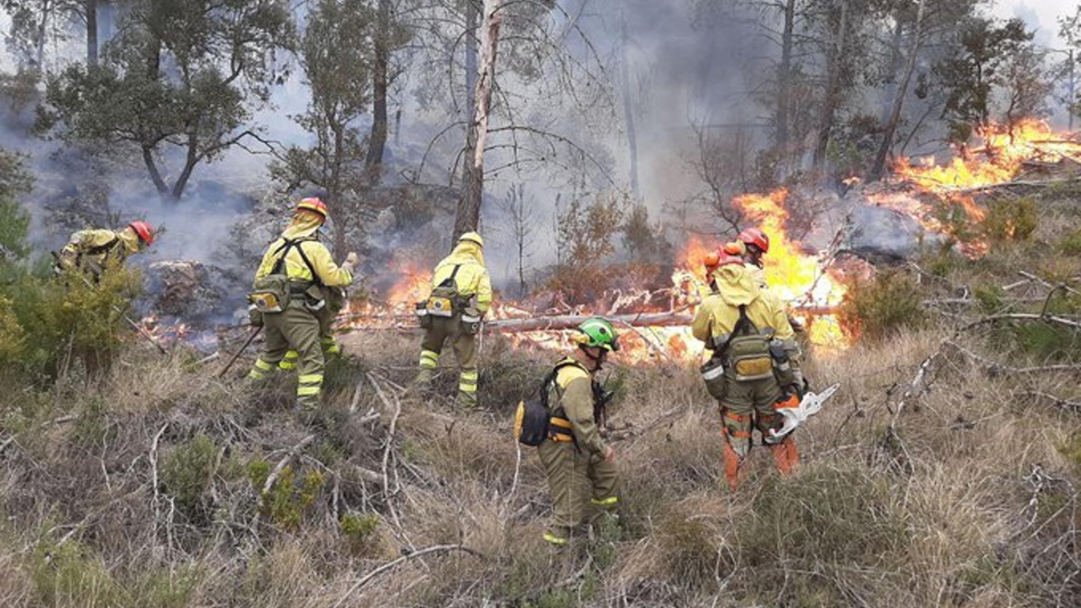 Los bomberos forestales luchando contra las llamas en Castellón