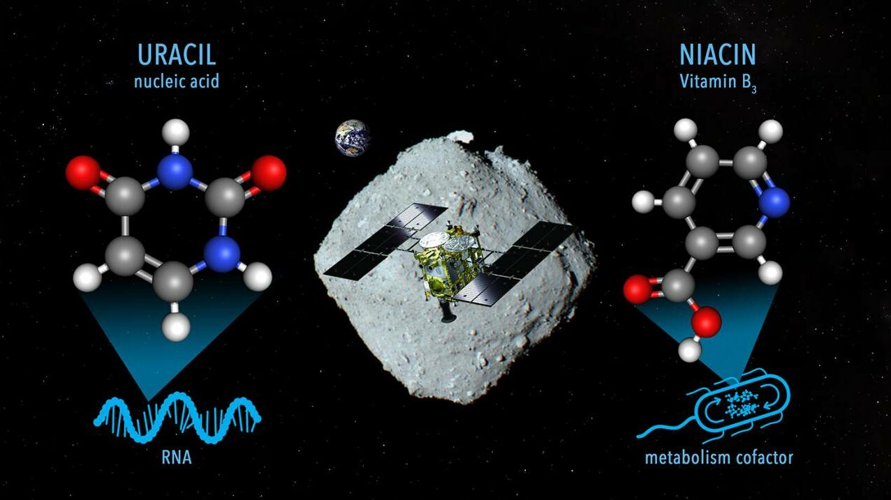 Detectado uracilo, un precursor de ácido nucleico en el asteroide Ryugu