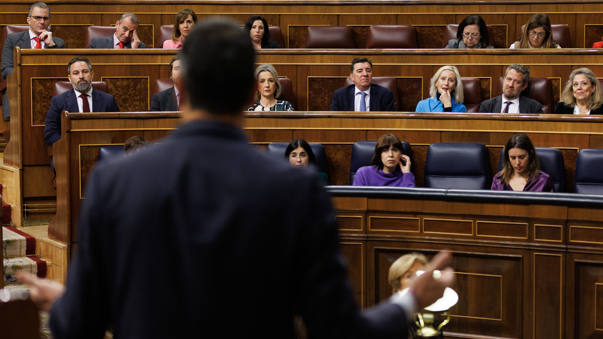 El presidente del Gobierno, Pedro Sánchez, interviene una sesión de control, en el Congreso.