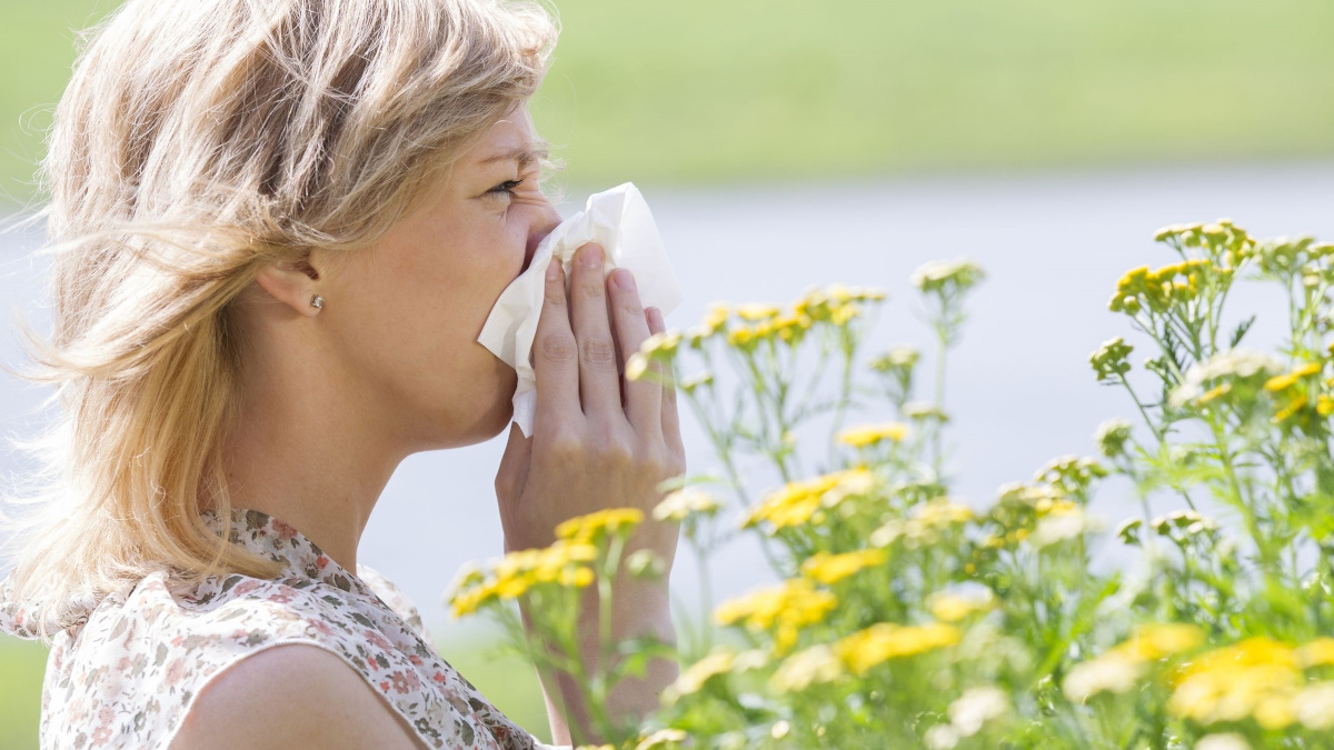 Cómo aliviar los síntomas de la alergia: los ocho mejores antihistamínicos naturales