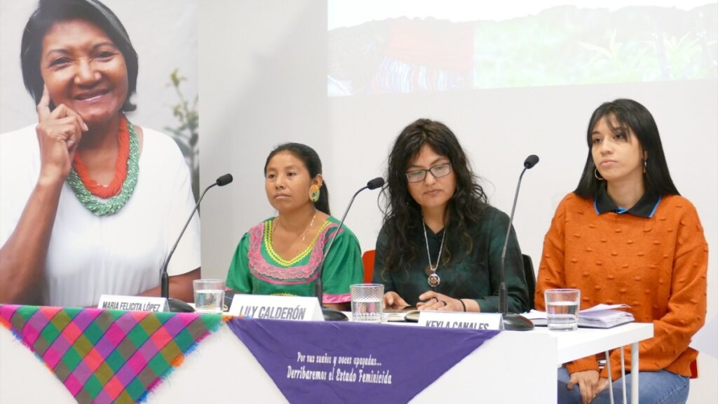 Las mujeres indígenas en la defensa del medio ambiente y los derechos que combaten las agresiones