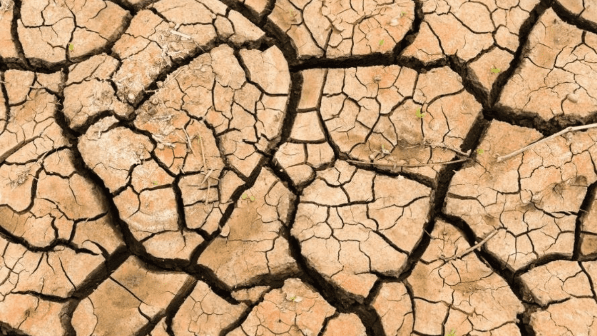 El 75% de España está en riesgo de convertirse en desierto a lo largo de este siglo