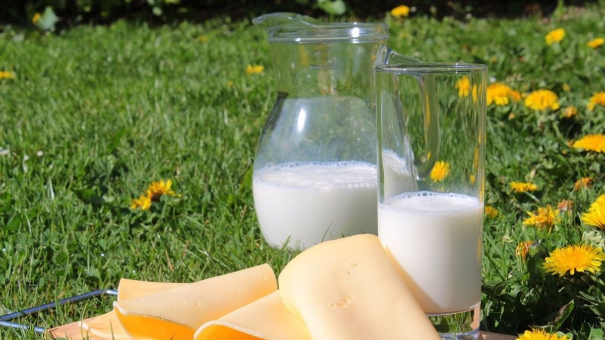 El consumo de leche y derivados causa inflamación abdominal