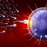 El inflamasoma, un factor clave y poco conocido de la infertilidad humana