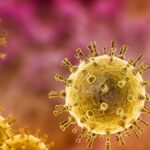 El virus de la varicela-zóster puede reactivarse cuando bajan las defensas y causar el herpes zóster