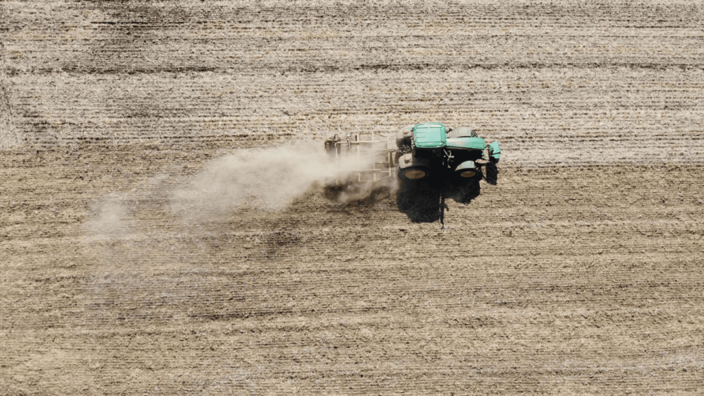 Los estragos de la falta de lluvias: zonas más afectadas y subida de precio de alimentos