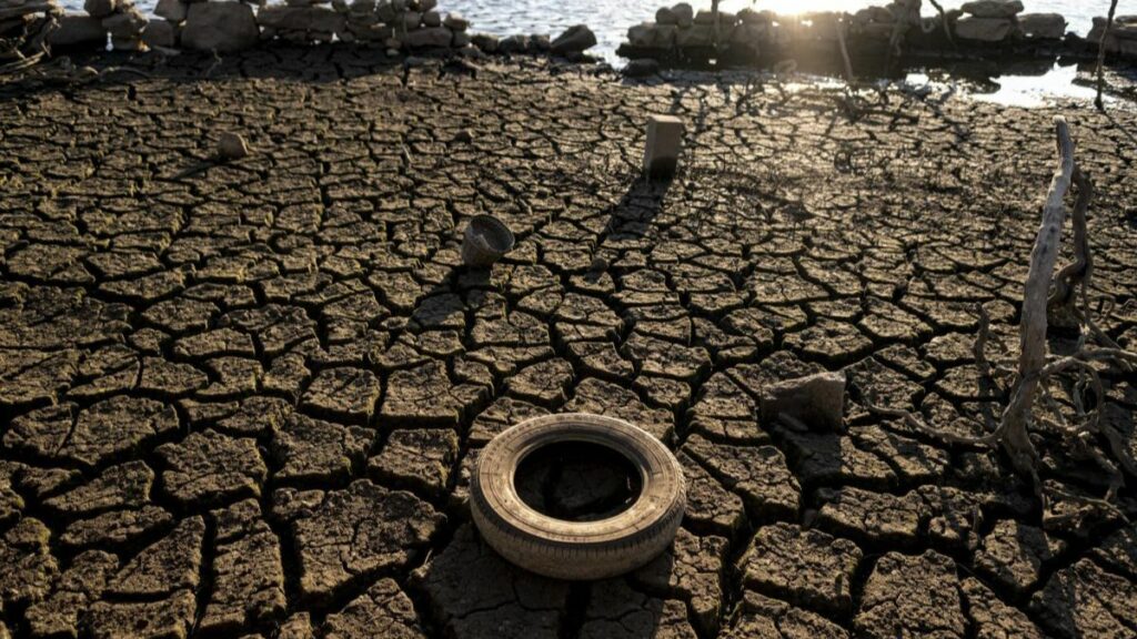 Las ayudas de urgencia del Gobierno contra los efectos de la sequía en el campo