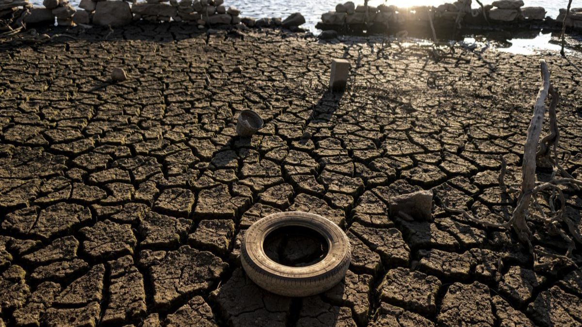 Estas son las ayudas de urgencia del Gobierno contra los efectos de la sequía en el campo