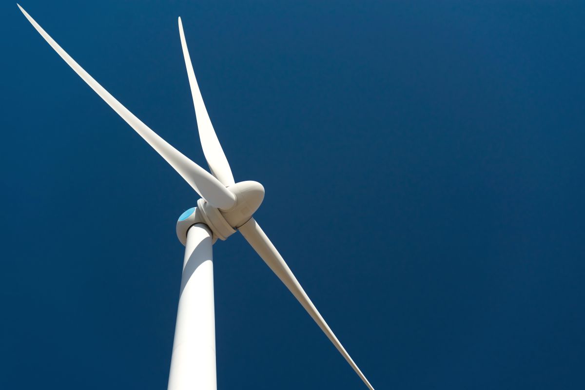 Naturgy incorpora cerca de 900 MW a su cartera renovable con la compra de los activos de Ardian en España