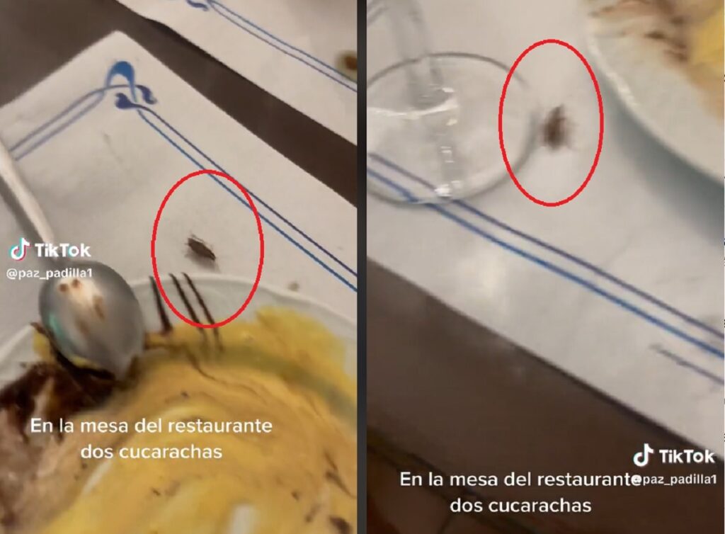 Paz Padilla se encuentra con dos cucarachas mientras come en un restaurante