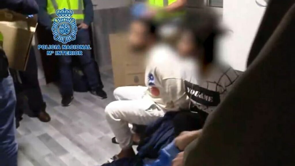 Varios de los miembros de la banda de los Trinitarios detenidos por la Policía Nacional