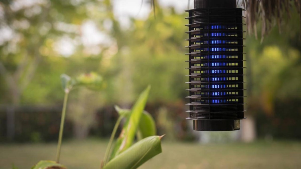 Di adiós a las picaduras: cinco lámparas antimosquitos para acabar con la gran molestia del verano