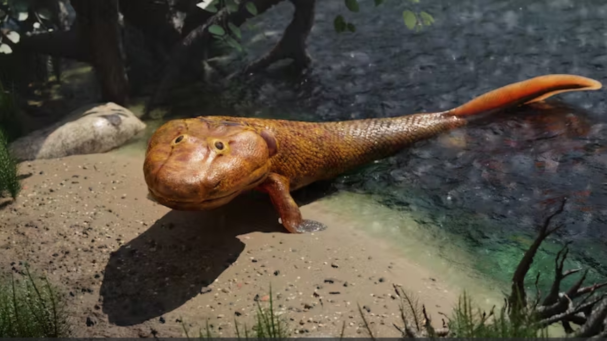 Representación en 3D del tiktaalik, un pez caminante extinguido