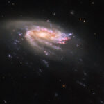 Hubble capta una galaxia con forma de medusa en un abismo cósmico