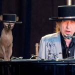 Bob Dylan y el aguante del gato esfinge