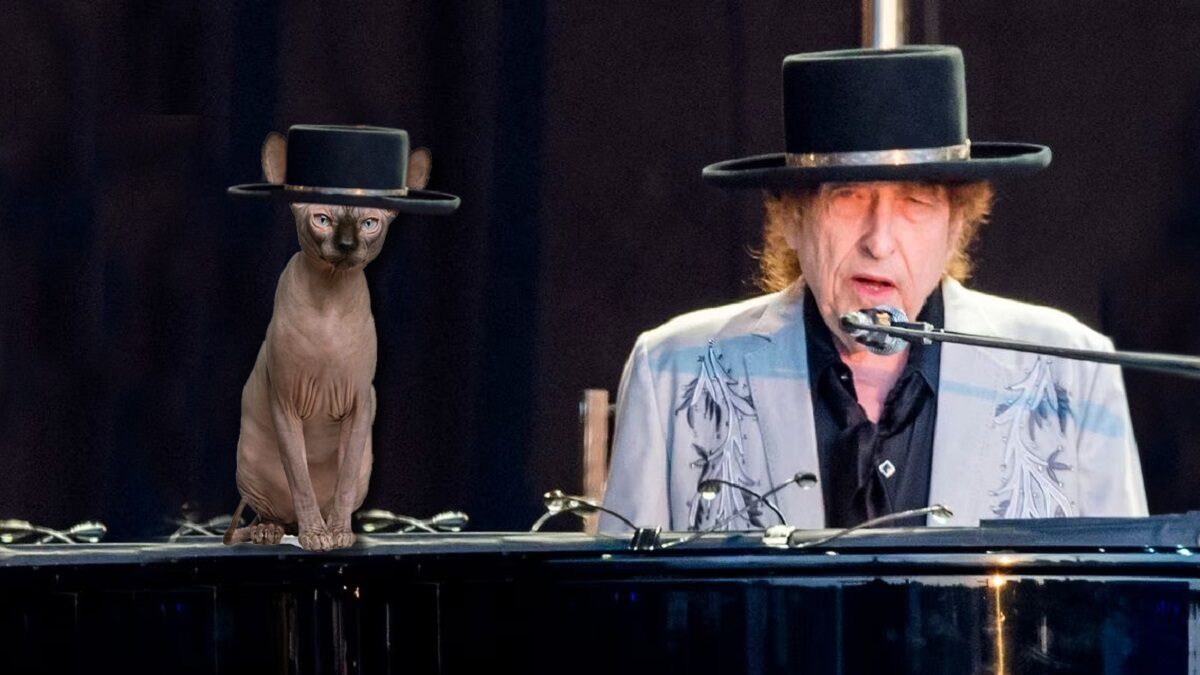 Bob Dylan y el aguante del gato esfinge