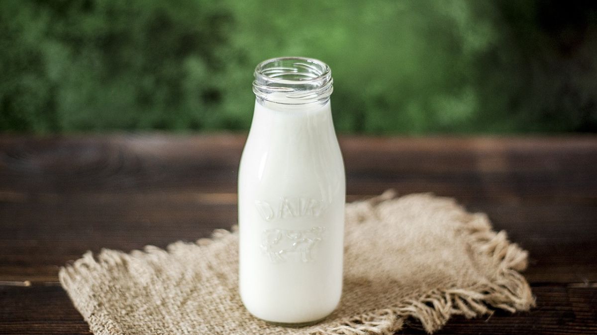 La OCU lo tiene claro: esta es la leche más sana.