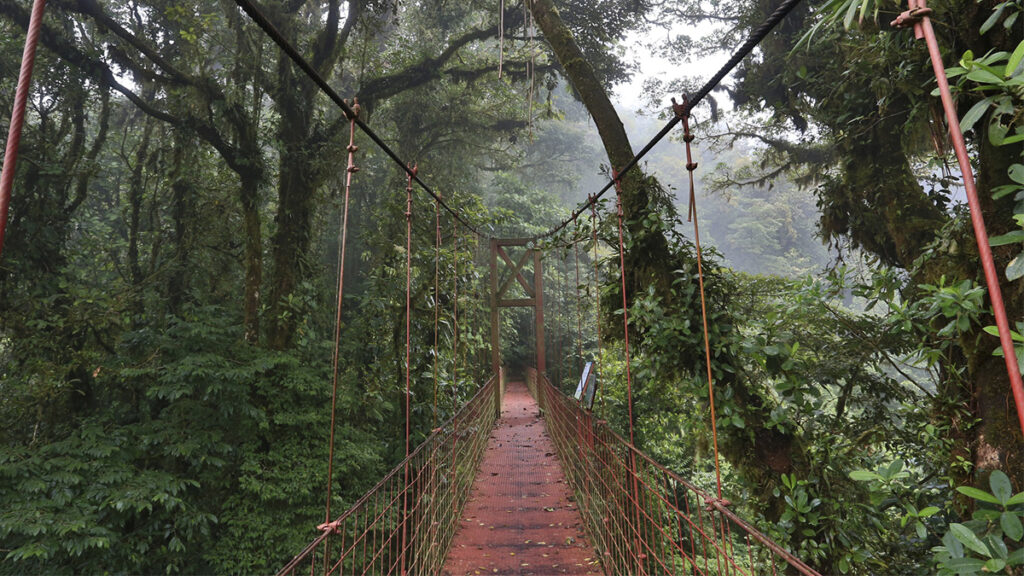 El hotel ubicado en una reserva natural de Monteverde en el disfrutar de la riqueza natural de Costa Rica