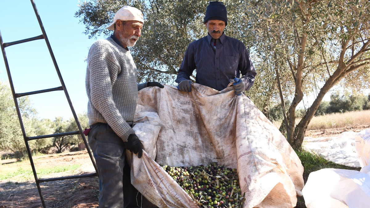 Trabajadores en Marruecos