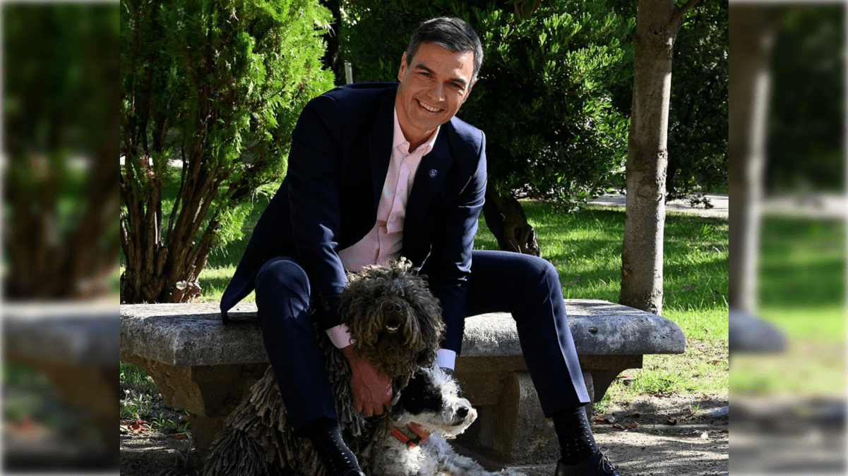 Pedro Sánchez comparte una fotografía con sus mascotas