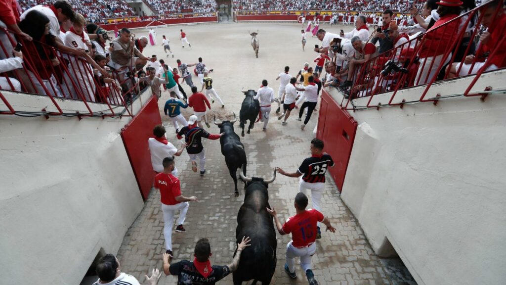 Entrada en la plaza de los toros extremeños de Jandilla en San Fermín 2023