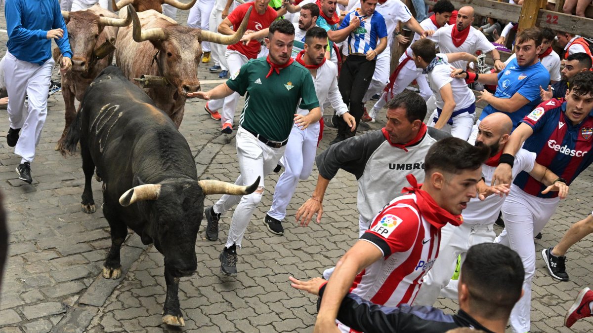 El quinto encierro de San Fermín 2023: una carrera rápida y limpia de los toros Núñez del Cuvillo