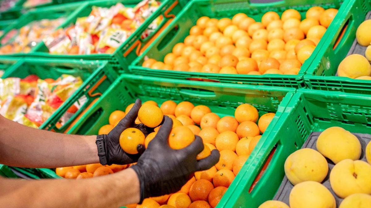 Mercadona abre la posibilidad de adquirir naranjas de otros países hasta principios de octubre