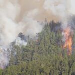 El incendio de Tenerife continúa propagándose