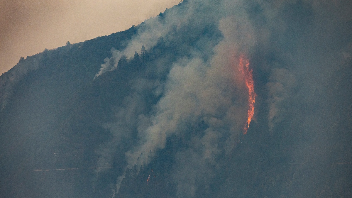 El incendio forestal, a 19 de agosto de 2023, en La Orotava, Tenerife