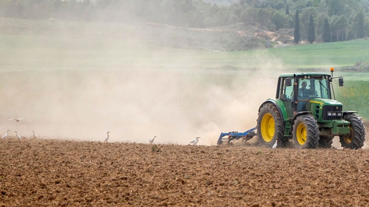 La Unión Europea invierte 90 millones de euros en 'suelos saludables': así afectará a la agricultura española