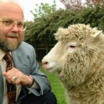 Ian Wilmut clonó una oveja en 1996