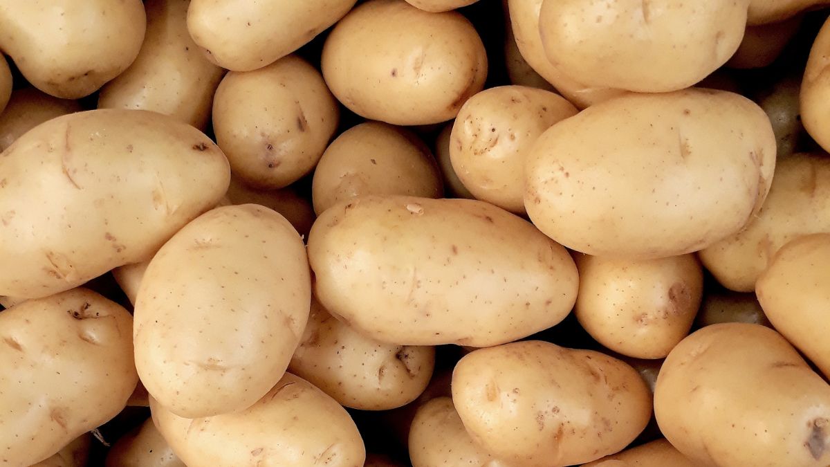 Mercadona se queda sin patatas en Canarias: la cadena cuenta lo que está pasando