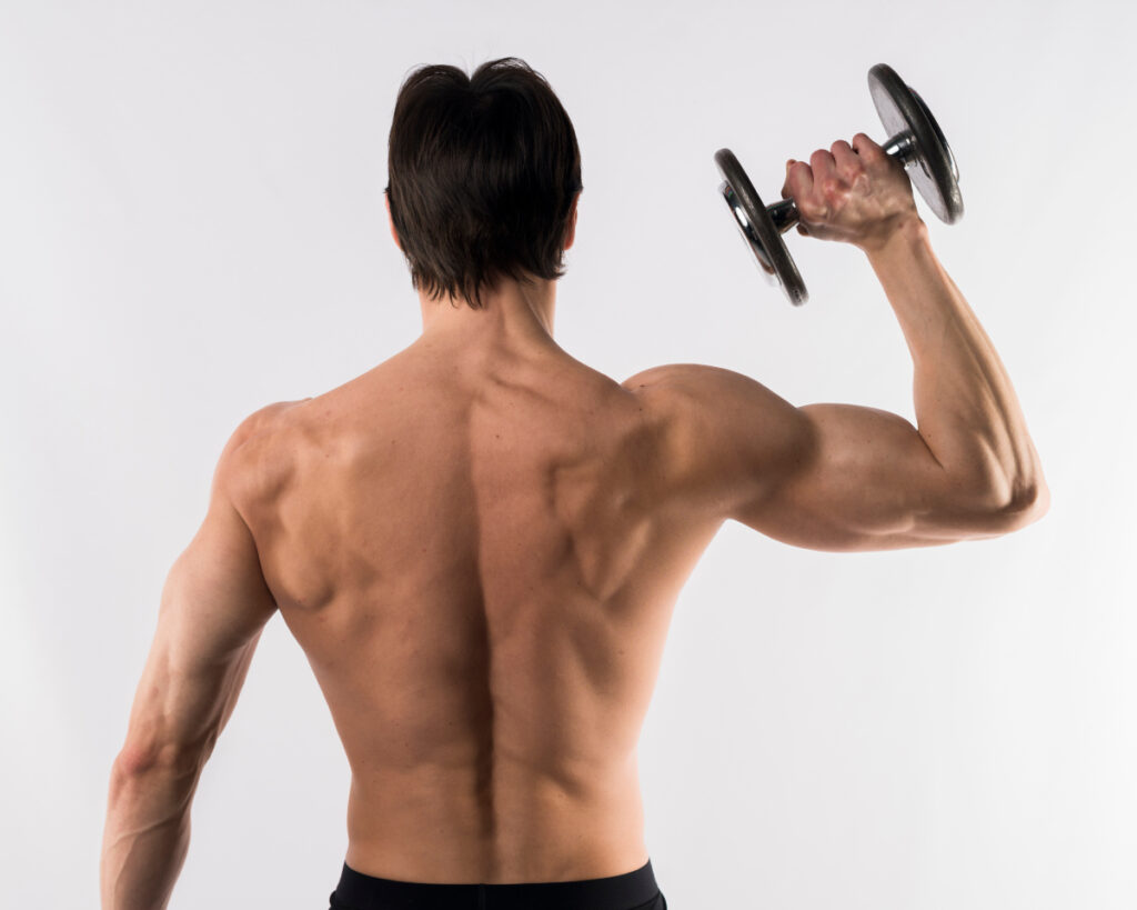 Las cinco claves para aumentar la masa muscular más rápido