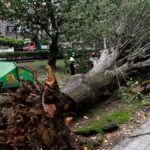 La borrasca 'Ciarán' pone en riesgo a España por lluvias, viento y oleaje: las zonas afectadas, según la Aemet