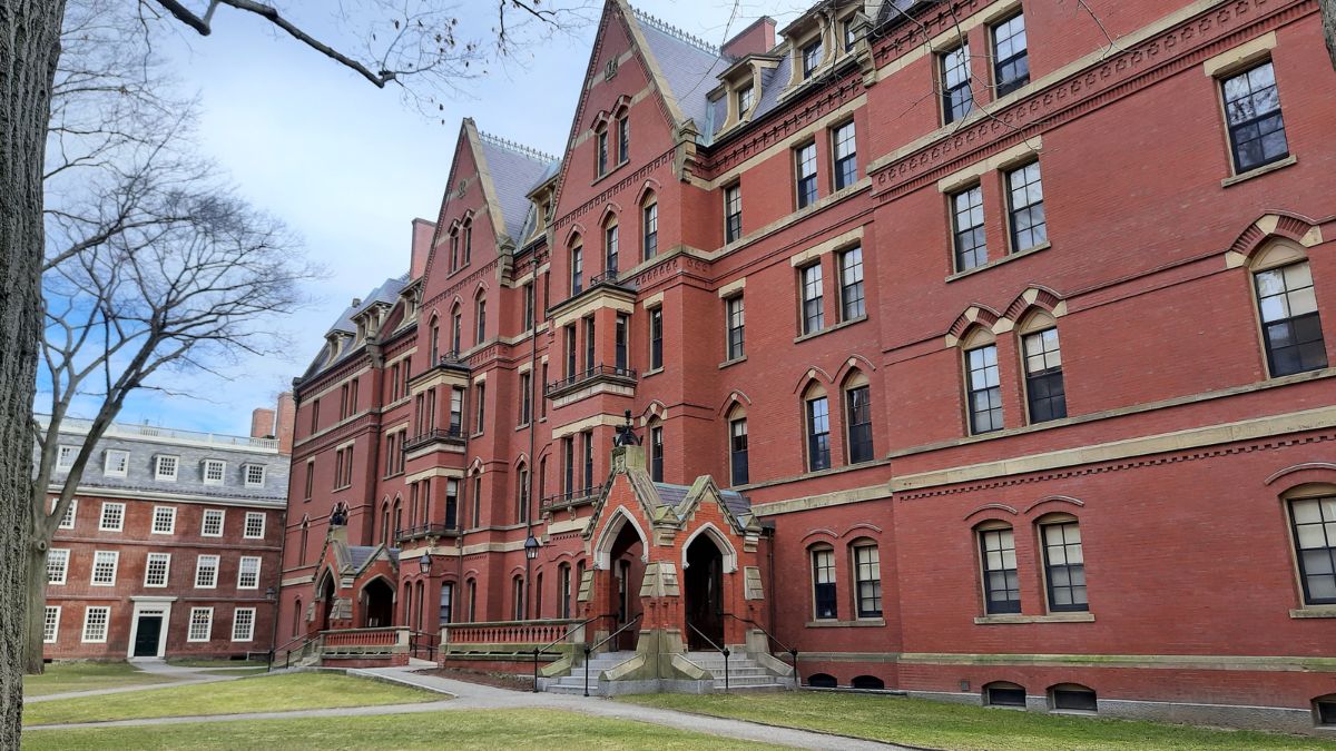 Harvard ofrece cursos gratuitos con certificado: diseño, negocios, derecho...