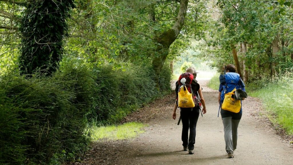 Peregrinos en el Camino de Santiago.