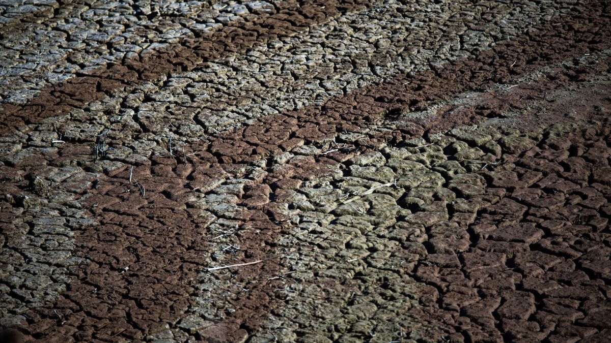 Las restricciones de agua en Cataluña y Andalucía por la sequía: estas son todas las limitaciones
