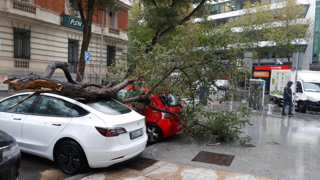  Un árbol caído sobre varios coches en una calle del centro de Madrid este jueves por el paso de Ciarán