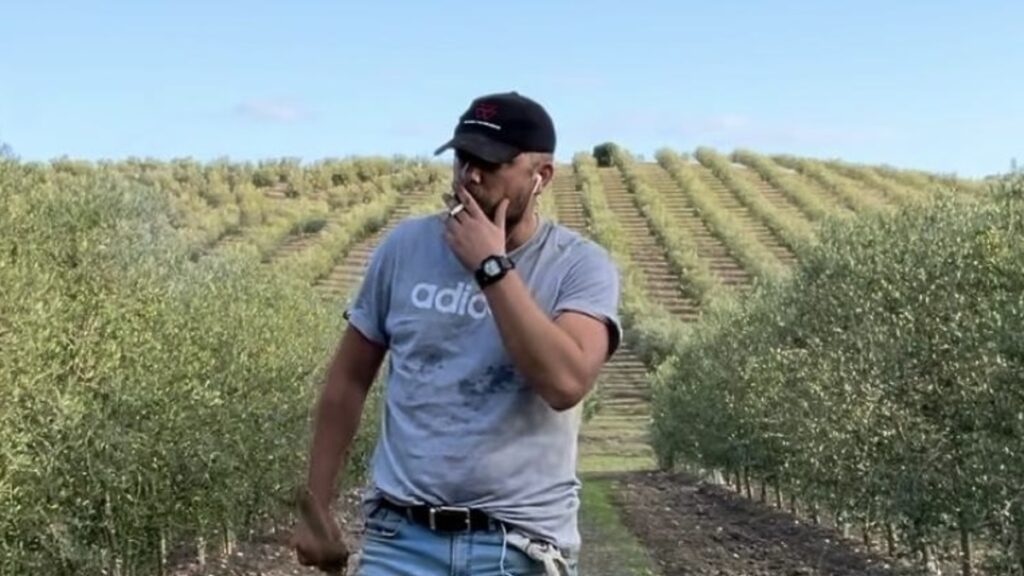 Un agricultor andaluz sortea una caja de su aceite en redes sociales y se convierte en 'trending topic' nacional