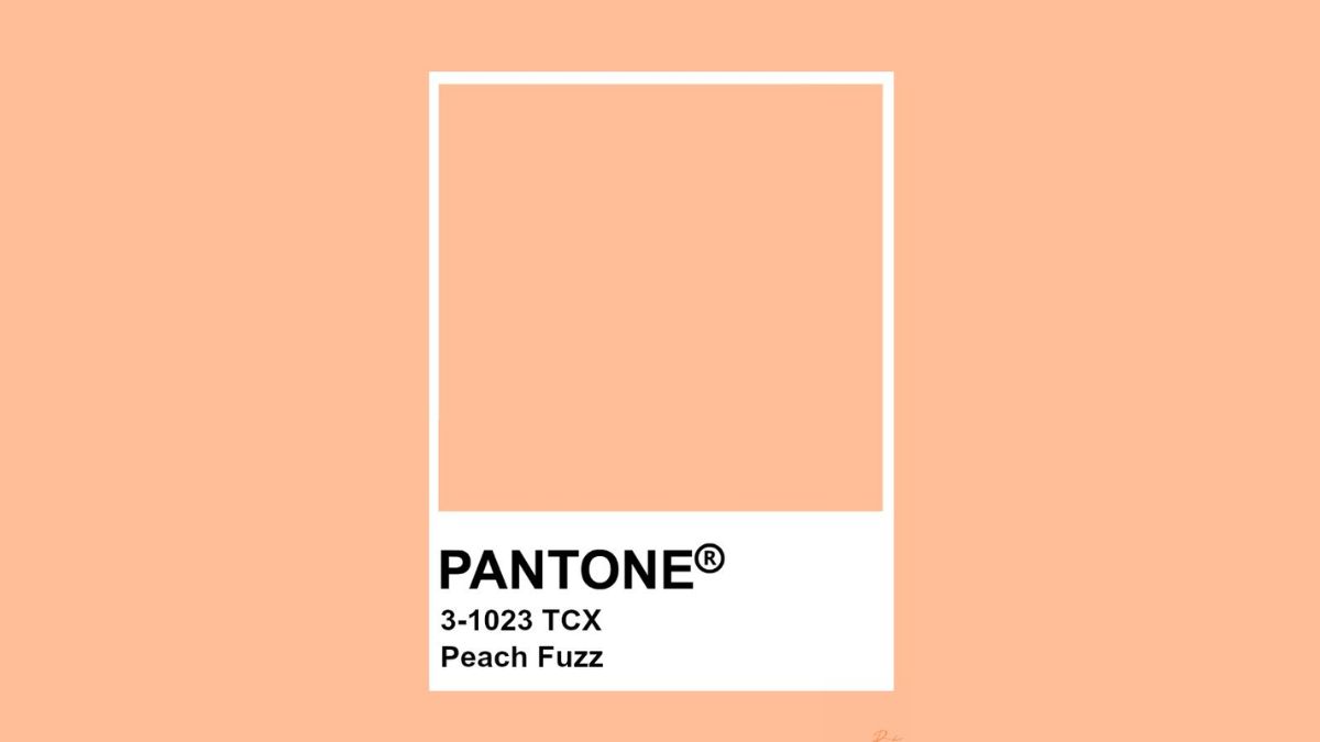 'Peach Fuzz', elegido por Pantone como el color del año 2024