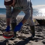La 'corriente de Navidad' salva a Portugal del vertido de pellets que inunda las playas gallegas